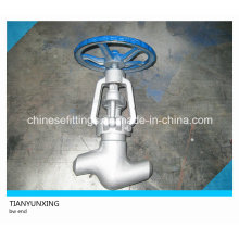 Bw End API geschmiedetes Carbon Steel Globe Valve